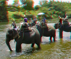 032 Elephant tour 1080085